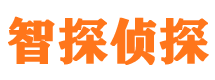 九江市私家侦探